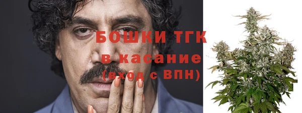 дживик Тында