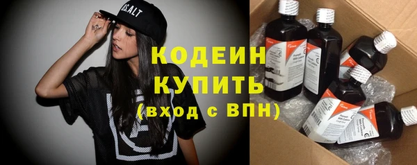 гашик Гусев