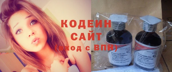 гашик Гусев