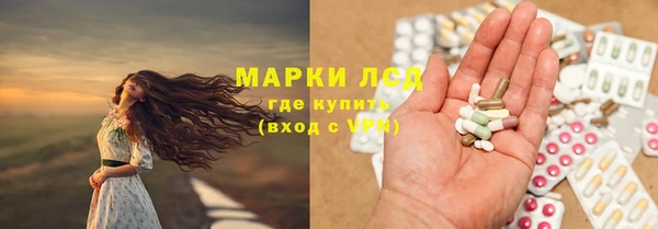 гашик Гусев