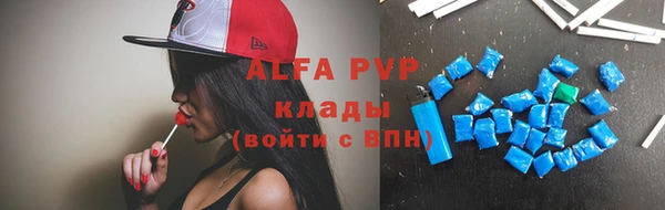 гашик Гусев