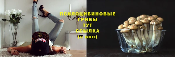 мдпв Туринск