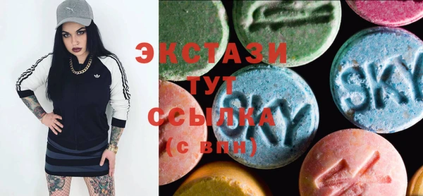 мдпв Туринск