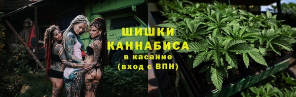 дживик Тында