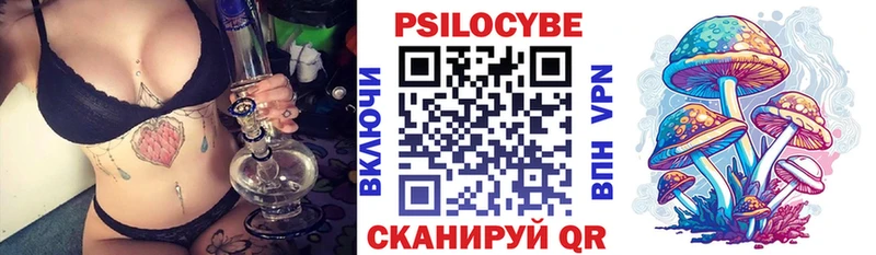 купить наркотик  Городовиковск  Псилоцибиновые грибы Cubensis 